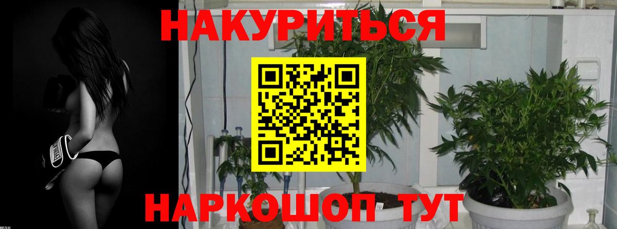 Шишки марихуана OG Kush  Бошки Шишки гибрид  Сланцы  Каннабис сатива  Вход с VPN 